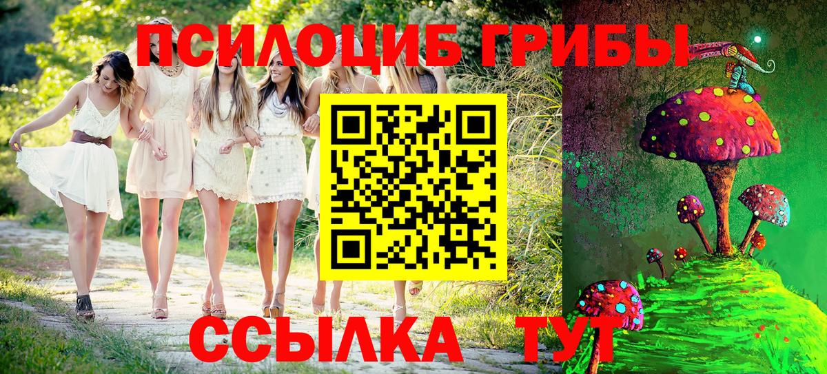 цена   Псилоцибиновые грибы Psilocybe  Вход с VPN  Галлюциногенные грибы прущие грибы  Невинномысск 
