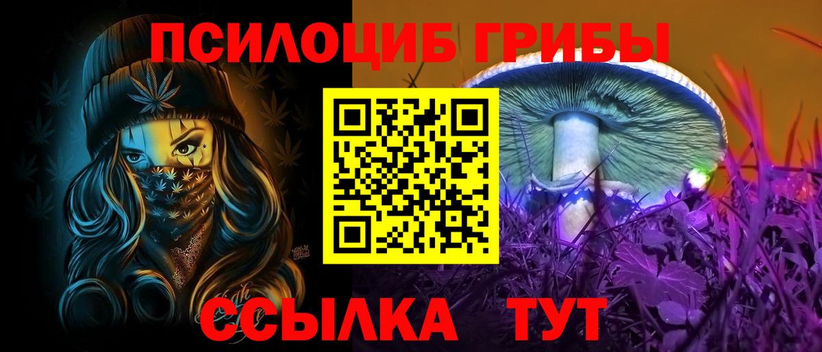 Псилоцибиновые грибы GOLDEN TEACHER Невинномысск