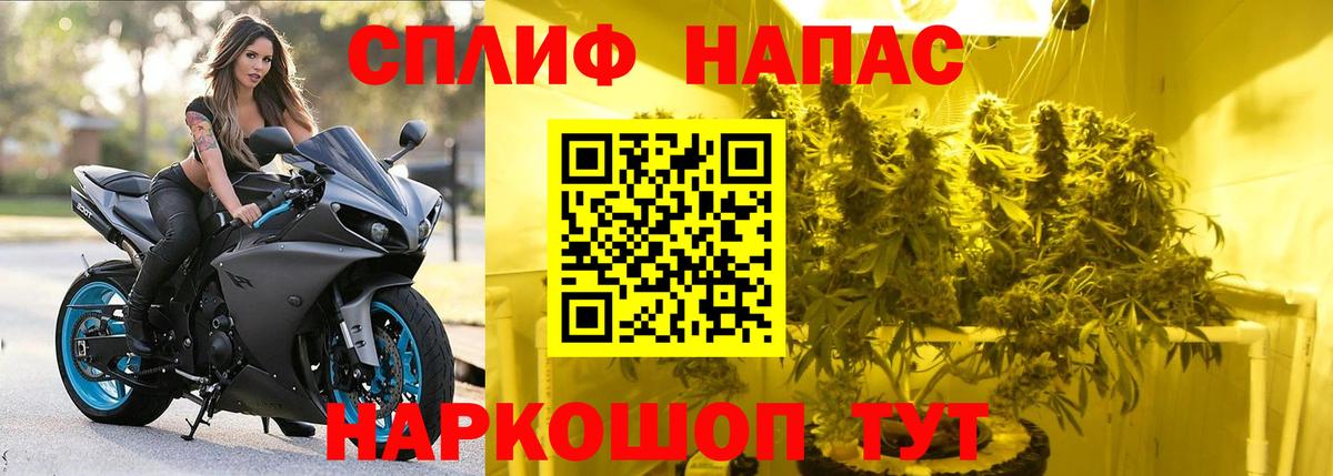 Канабис OG Kush Невинномысск